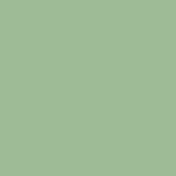 DELETER Neopiko-2 Dual-tipped Alcohol-based Marker - Celadon (414) — image 1
