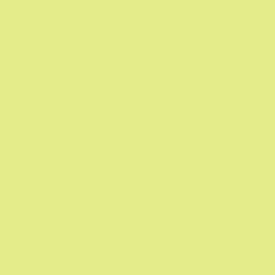 DELETER Neopiko-2 Dual-tipped Alcohol-based Marker - Pale Green (416) — image 1