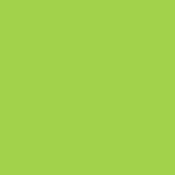 DELETER Neopiko-2 Dual-tipped Alcohol-based Marker - Spring Green (418) — image 1