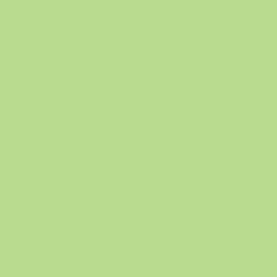 DELETER Neopiko-2 Dual-tipped Alcohol-based Marker - Mint Green (442) — image 1