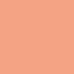 DELETER Neopiko-2 Dual-tipped Alcohol-based Marker - Coral Pink (511) — image 1