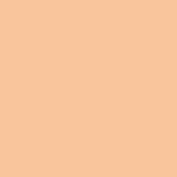 DELETER Neopiko-2 Dual-tipped Alcohol-based Marker - Light Orange (517) — image 1