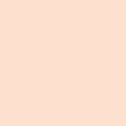 DELETER Neopiko-2 Dual-tipped Alcohol-based Marker - Pastel Peach (521) — image 1