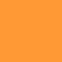 DELETER Neopiko-2 Dual-tipped Alcohol-based Marker - Golden Orange (531) — image 1