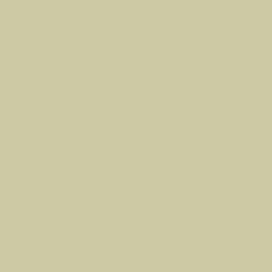 DELETER Neopiko-2 Dual-tipped Alcohol-based Marker - Sand (542) — image 1
