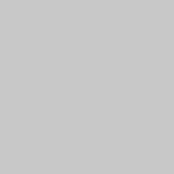 DELETER Neopiko-2 Dual-tipped Alcohol-based Marker - Cool Grey 3 (573) — image 1