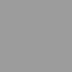 DELETER Neopiko-2 Dual-tipped Alcohol-based Marker - Cool Grey 5 (575) — image 1