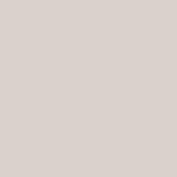 DELETER Neopiko-2 Dual-tipped Alcohol-based Marker - Warm Grey 3 (583) — image 1
