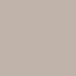 DELETER Neopiko-2 Dual-tipped Alcohol-based Marker - Warm Grey 5 (585) — image 1